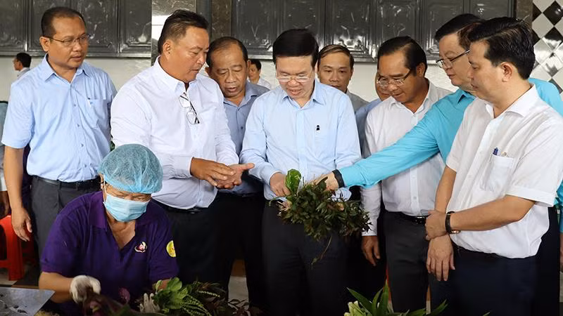 Thường trực Ban Bí thư Võ Văn Thưởng đi khảo sát công đoạn sơ chế rau tại Hợp tác xã Phước Thịnh, xã Phước Hậu (huyện Cần Giuộc, tỉnh Long An).