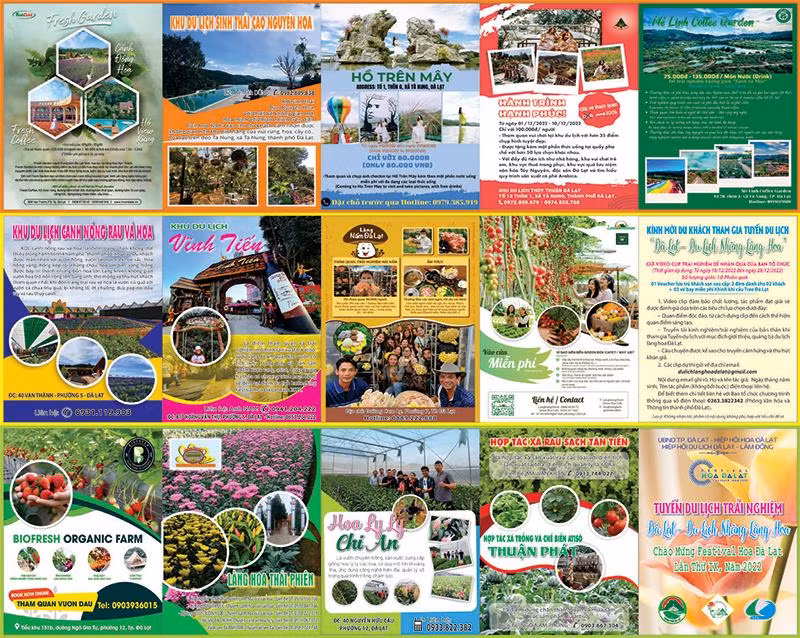 Một số điểm đến tại các làng hoa truyền thống Đà Lạt.