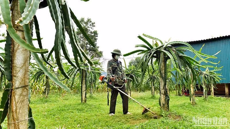 Các mô hình phát triển kinh tế hiệu quả đã góp phần làm thay đổi diện mạo vùng biên.