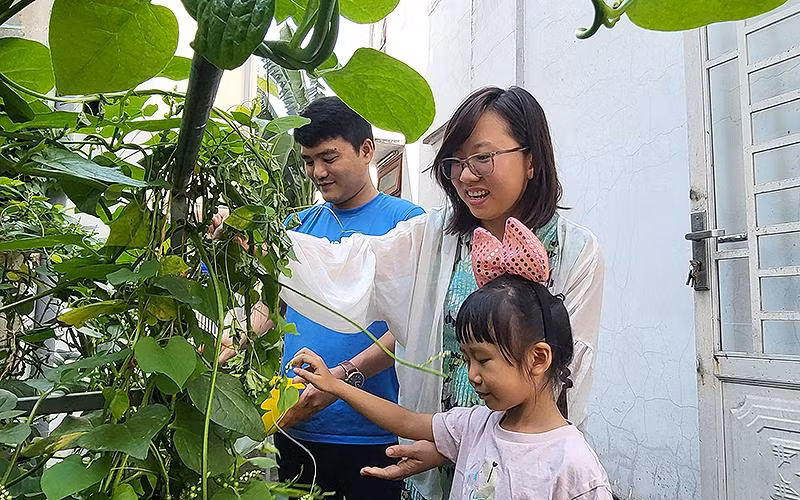 Gia đình anh Nhựt, chị Linh và con gái cùng hái rau trong vườn, chuẩn bị 1 bữa cơm ấm cúng.