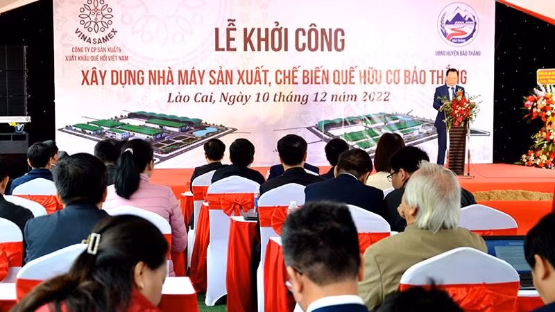 Khởi công xây dựng Nhà máy sản xuất, chế biến quế hữu cơ Bảo Thắng.