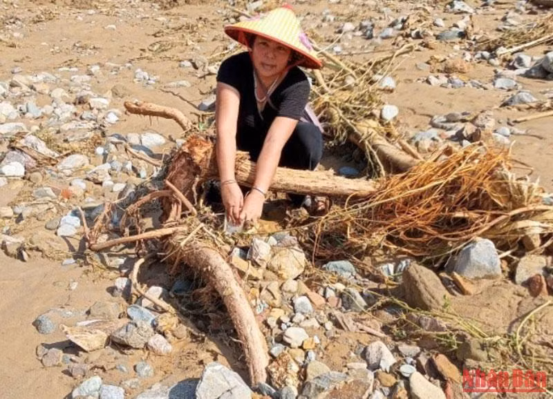 Chị Lô Thị Nhân, chồng mất đầu năm, con đang đi bộ đội ở Sư đoàn 324 Đô Lương. Lũ về trôi cả nhà, còn mỗi cái nền.