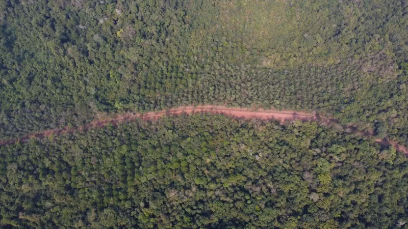 Tuyến đường kết nối trực tiếp duy nhất giữa tỉnh Đồng Nai và tỉnh Bình Phước, hàng chục năm qua không thể lưu thông do cầu Mã Đà bị sập trong chiến tranh. Tuyến đường kết nối trực tiếp duy nhất giữa tỉnh Đồng Nai và tỉnh Bình Phước, hàng chục năm qua không thể lưu thông do cầu Mã Đà bị sập trong chiến tranh.