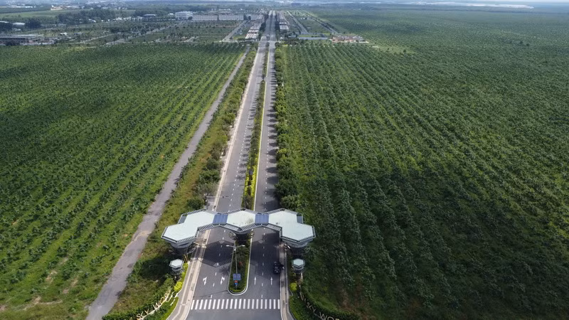  Dự án Gem Sky World tại xã Long Đức, huyện Long Thành. 