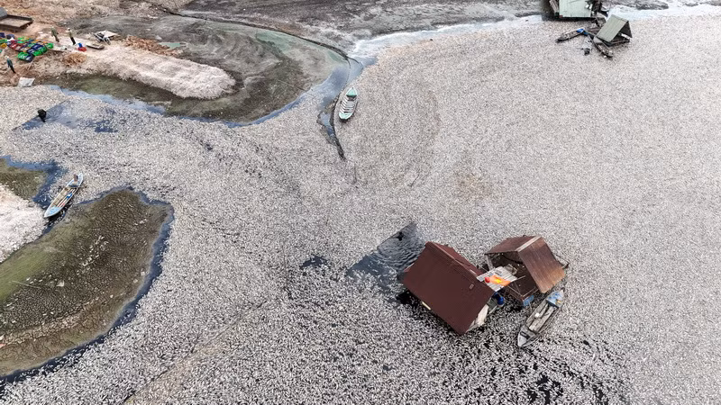 Hàng trăm tấn cá chết nổi trắng hồ Sông Mây.