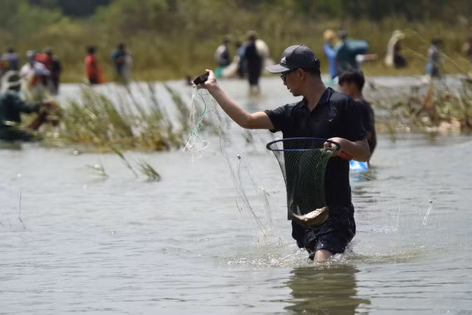 So với những lần trước, năm nay lượng cá ít hơn.