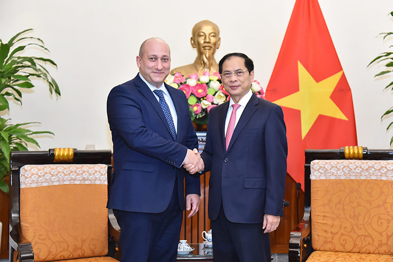 Bộ trưởng Ngoại giao Bùi Thanh Sơn tiếp Thứ trưởng Ngoại giao Grudia Alexander Khvtisiashvili. (Ảnh: Bộ Ngoại giao)