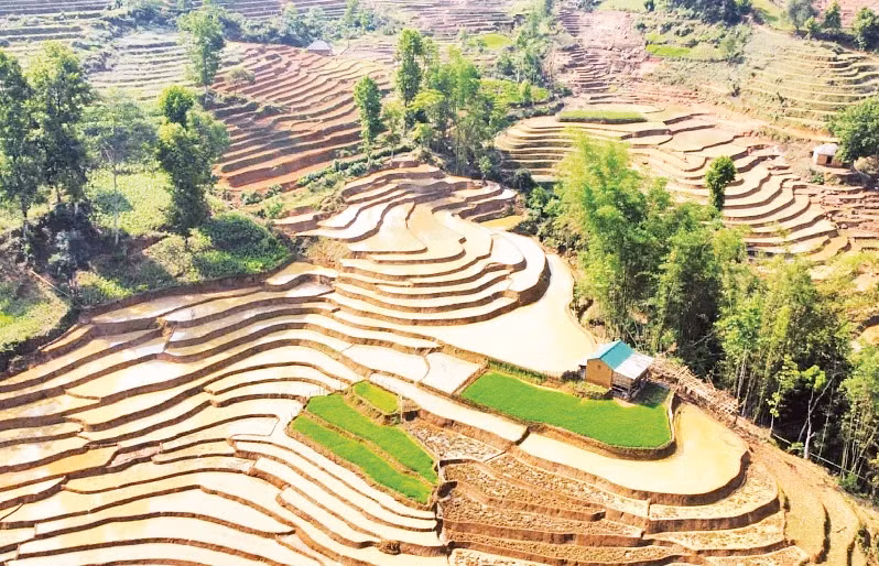 Ruộng bậc thang Y Tý mùa nước đổ hiện lên như những đường vân tay khổng lồ của đất trời.