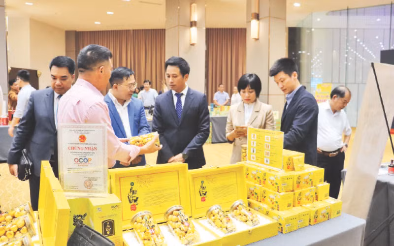 Doanh nghiệp giới thiệu, quảng bá sản phẩm, tìm kiếm cơ hội hợp tác tại Hội nghị “Kết nối cùng phát triển - Link to Grow” tổ chức tại tỉnh Quảng Ninh tháng 8/2023.