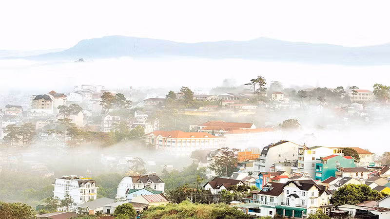 Đà Lạt trong sương.