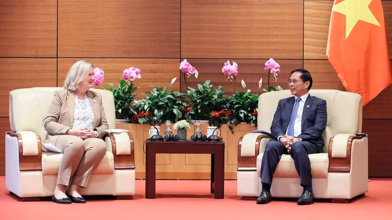 Phó Thủ tướng Chính phủ, Bộ trưởng Ngoại giao Bùi Thanh Sơn tiếp Quốc vụ khanh Bộ Ngoại giao Đan Mạch Lina Hansen. (Ảnh: VGP)