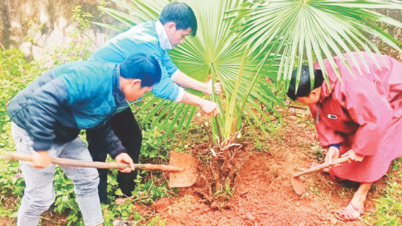 Người dân xã A Bung, huyện ĐaKrông (Quảng Trị) trồng cây dọc các tuyến đường mẫu.