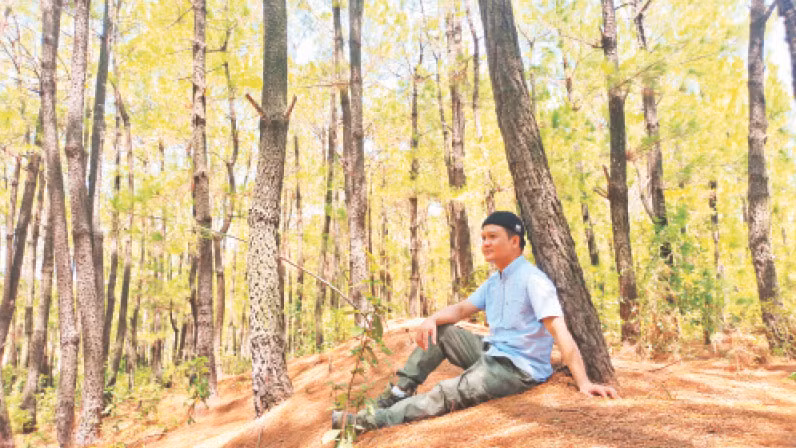 Phút nghỉ ngơi dưới tán rừng thông.