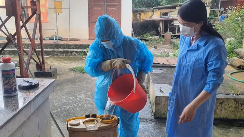 Cán bộ Trung tâm Dịch vụ Nông nghiệp huyện Phúc Thọ, Hà Nội pha hóa chất, phun khử trùng, phòng chống dịch bệnh gia súc, gia cầm sau bão số 3.