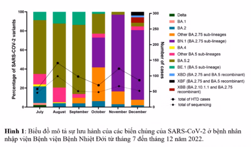 Biểu đồ mô tả sự lưu hành các biến thể SARS-CoV2 ở nhóm bệnh nhân Covid-19. (Ảnh: Bệnh viện cung cấp) 