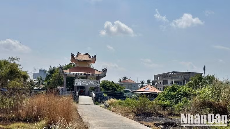 Một nửa công viên văn hóa Trần Huỳnh (phường 7, thành phố Bạc Liêu), được cho là khu "đất vàng", nhưng vẫn bỏ hoang, cỏ mọc um tùm hơn 30 năm qua. (Ảnh: TRỌNG DUY)