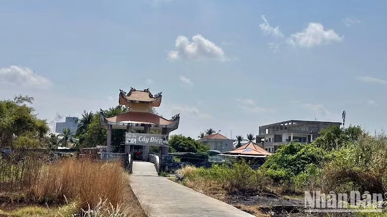 Một nửa công viên Văn hóa Trần Huỳnh (tại trung tâm thành phố Bạc Liêu) hiện vẫn bỏ hoang.