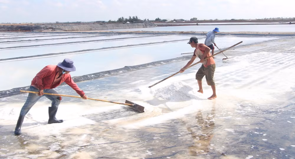 Nghề làm muối của diêm dân Bạc Liêu rất vất vả, bấp bênh, nhất là trong điều kiện biến đổi khí hậu ngày càng gay gắt.