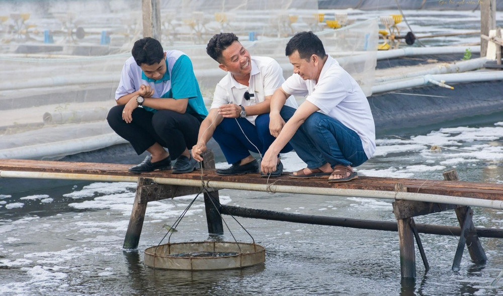 "Tiến sĩ chân đất, bác sĩ tôm" Lê Anh Xuân (giữa) thường xuyên trao đổi với các cộng sự về việc áp dụng khoa học-công nghệ nuôi tôm. (Ảnh: TRỌNG DUY)