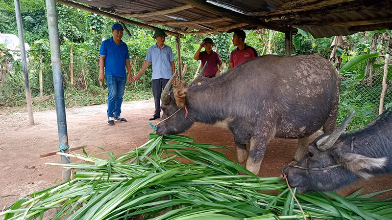 Mô hình chăn nuôi của nông dân.