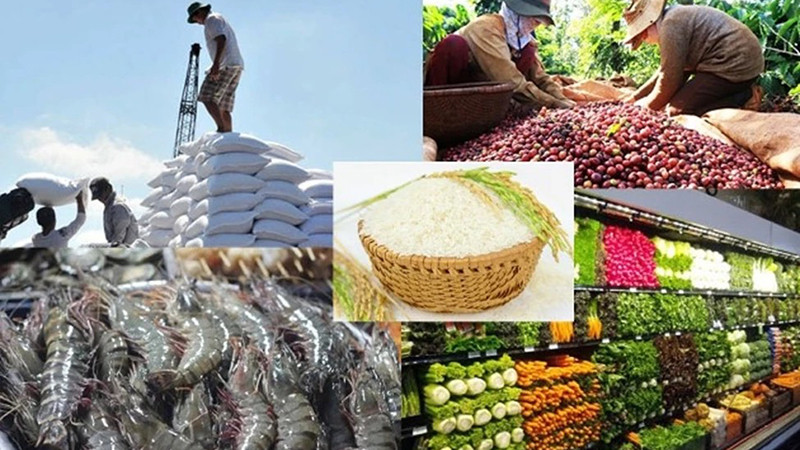 Các mặt hàng xuất khẩu của Việt Nam sang EU.