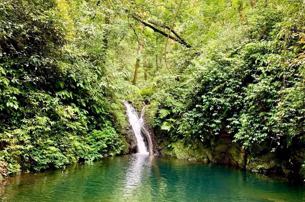 Vườn Quốc gia Vũ Quang có hệ sinh thái đa dạng