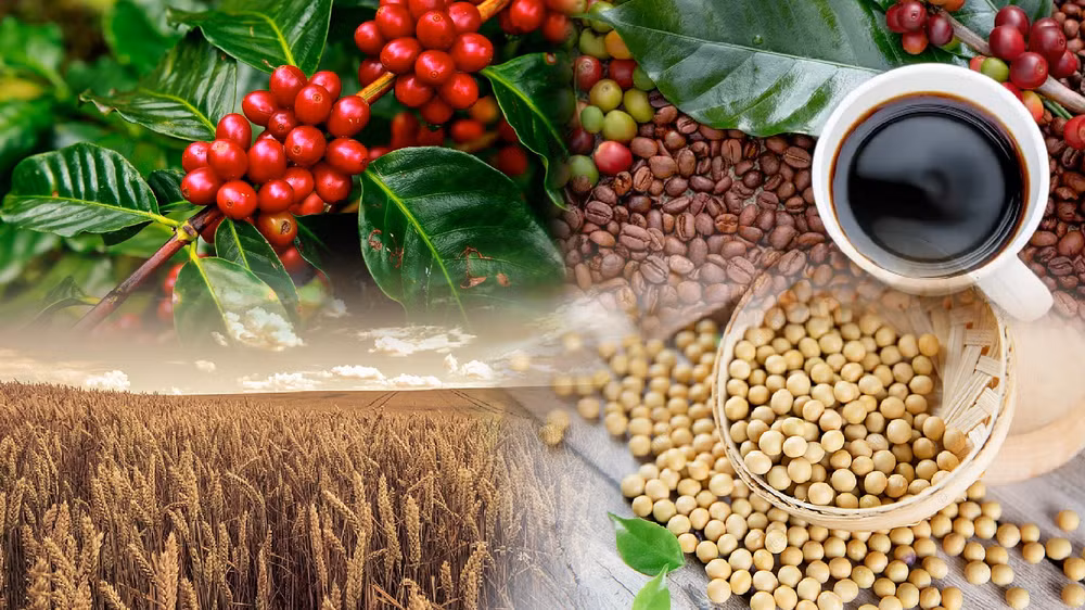 Xu hướng suy yếu bao trùm giá hàng hóa nguyên liệu