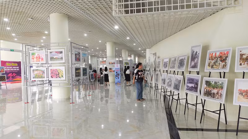 Du khách ngắm những bức ảnh đang được trưng bày.