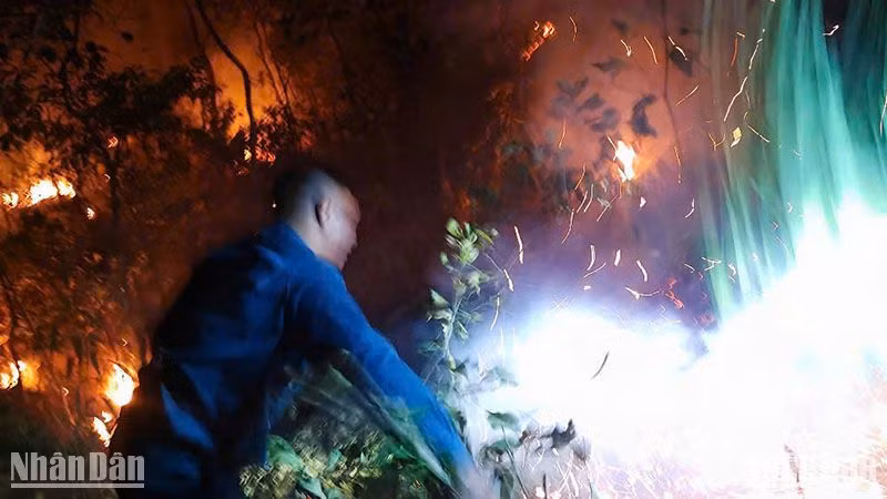 Cơ quan chức năng huy động lực lượng, tiếp cận hiện trường thực hiện các biện pháp dập lửa. 