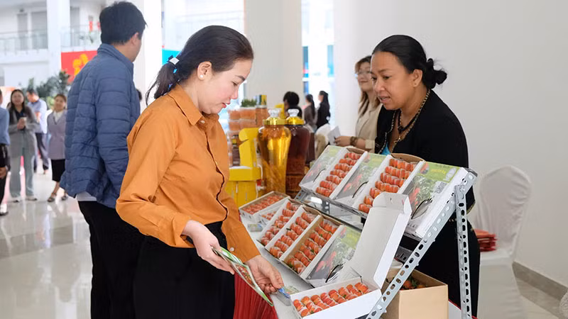 Trưng bày đặc sản Đà Lạt-Lâm Đồng bên lề hội thảo.