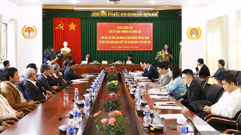 Quang cảnh buổi làm việc.