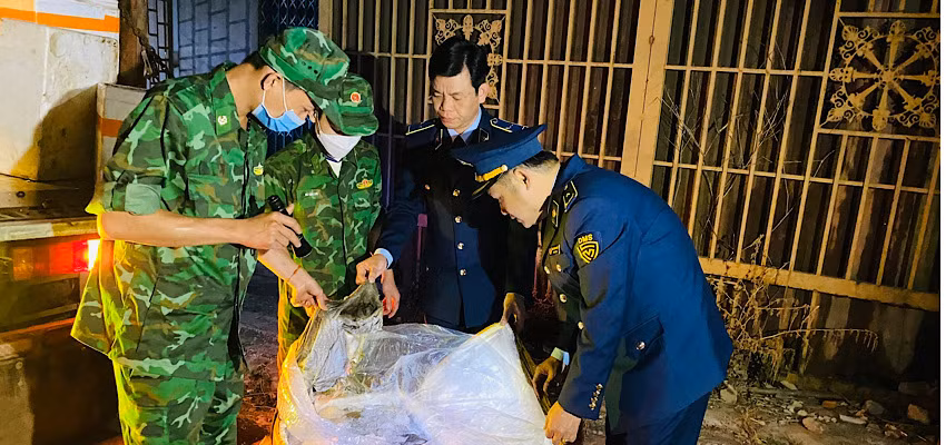 Lực lượng chức năng tỉnh Quảng Trị kịp thời ngăn chặn 1,7 tấn lòng lợn đã bốc mùi hôi thối đang trên đường tiêu thụ