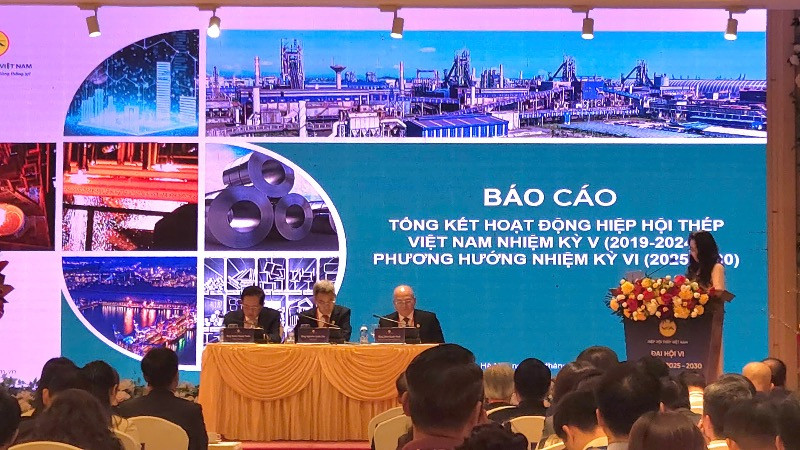 Quang cảnh đại hội VSA. (Ảnh: MINH DŨNG) Quang cảnh đại hội VSA. (Ảnh: MINH DŨNG)