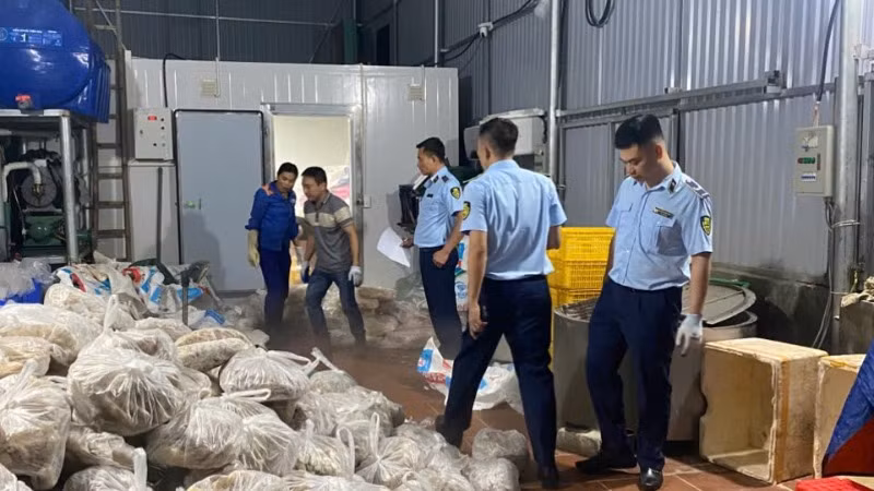 Số lượng lớn thực phẩm đông lạnh vi phạm bị lực lượng quản lý thị trường phát hiện, thu giữ.