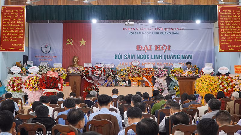 Quang cảnh Đại hội Hội sâm Ngọc Linh Quảng Nam lần thứ nhất, nhiệm kỳ 2024-2029.