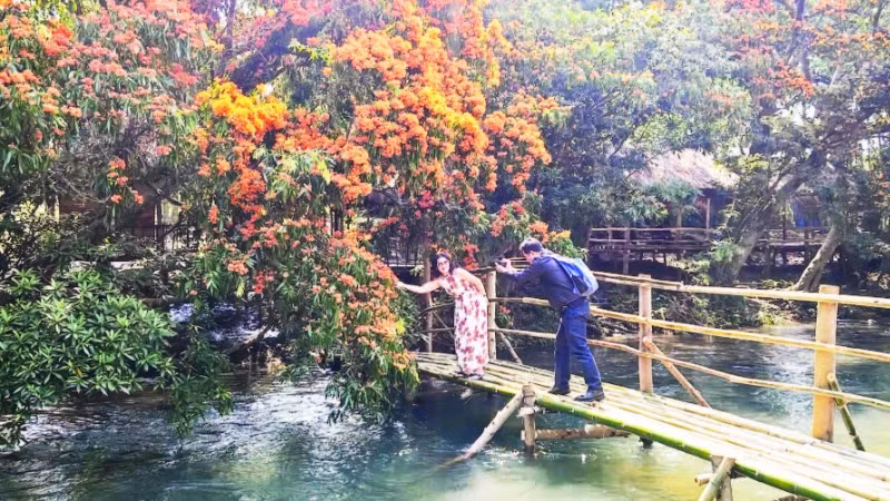 Du khách tạo dáng cùng hoa trang.