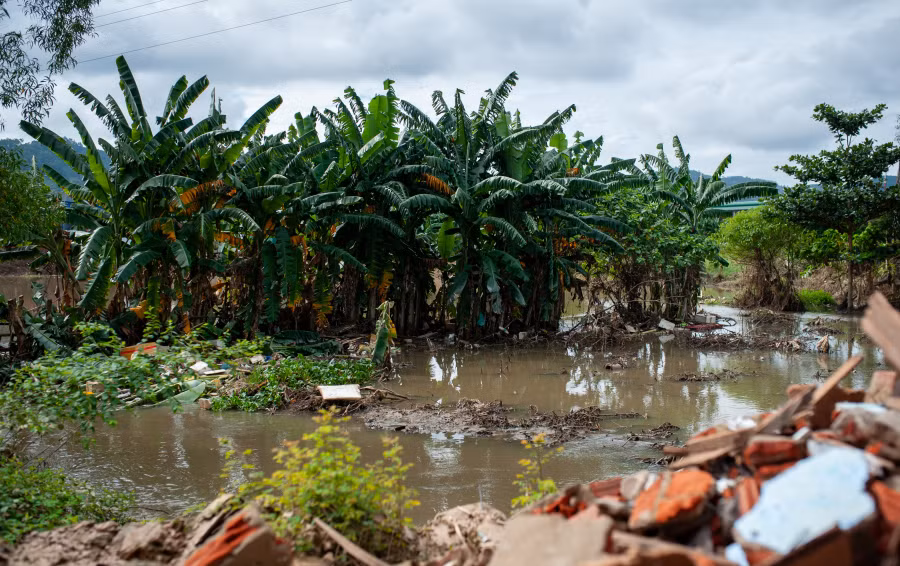 Trước đây vài ngày, đoạn kênh hở này cũng từng bị ô nhiễm do sự cố nước rỉ rác tràn ra môi trường tại Khu liên hợp xử lý chất thải rắn Khánh Sơn. Sau trận mưa lớn, một số đoạn cồn đất vẫn bị ngập úng, thành nơi “thu gom” rác thải trên kênh.