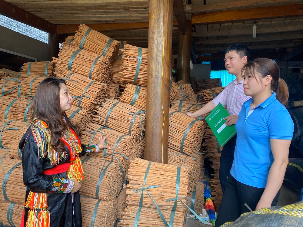 Cán bộ Ngân hàng Chính sách xã hội huyện Lục Yên kiểm tra hiệu quả vốn vay đối với đồng bào Dao xã Tân Phượng. (Ảnh: THANH SƠN)