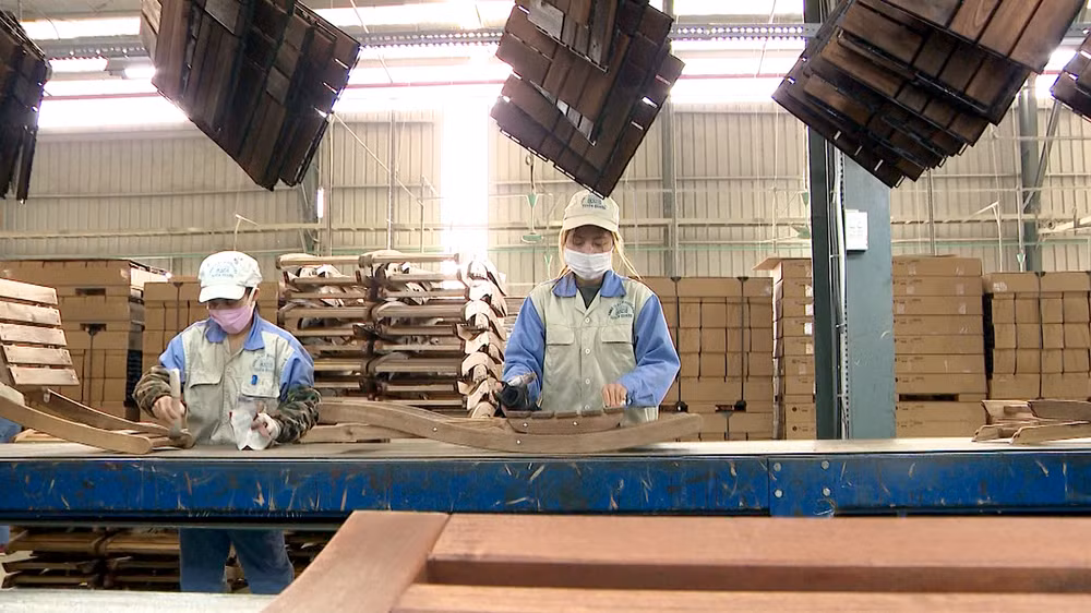 Tốc độ tăng trưởng ngành lâm nghiệp của tỉnh Tuyên Quang đạt 9%/năm.