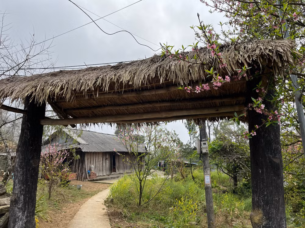 Sắc xuân trên bản người Dao đầu bằng - Sì Thâu Chải ảnh 10