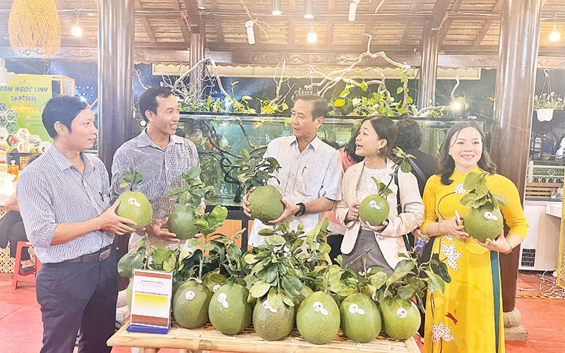 Sản phẩm OCOP tham gia tại triển lãm do Sở Nông nghiệp và Phát triển nông thôn Thành phố Hồ Chí Minh tổ chức.