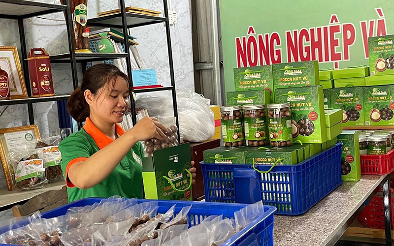 Giám đốc Hợp tác xã nông nghiệp và dịch vụ Sơn Liên, Phạm Thị Trầm giới thiệu sản phẩm nông sản đến người tiêu dùng.