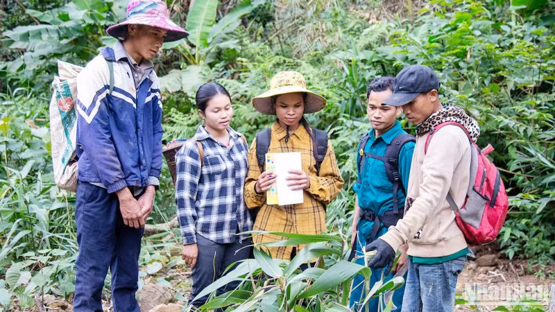 Tổ bảo vệ rừng thôn Hồ, xã Hướng Sơn, huyện Hướng Hóa, là một trong những nhóm hộ được hưởng lợi từ dự án để góp phần phát triển bền vững.
