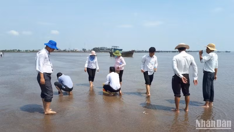 Ngành chuyên môn khảo sát vùng nuôi có nghêu chết.