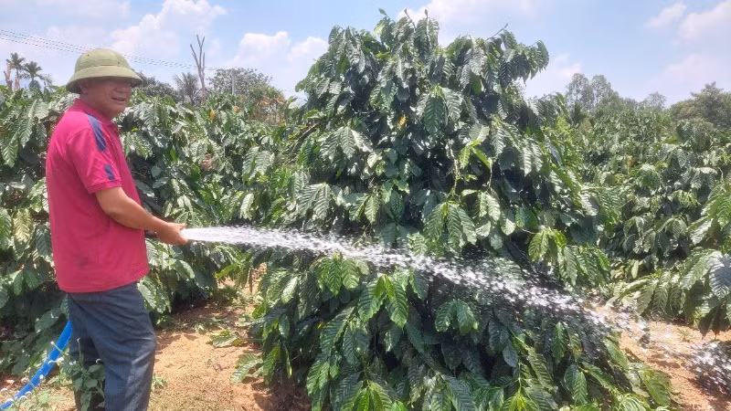 Anh Lê Quốc Huy mong muốn được mang thương hiệu cà-phê Đắk Lắk. Anh Lê Quốc Huy mong muốn được mang thương hiệu cà-phê Đắk Lắk.