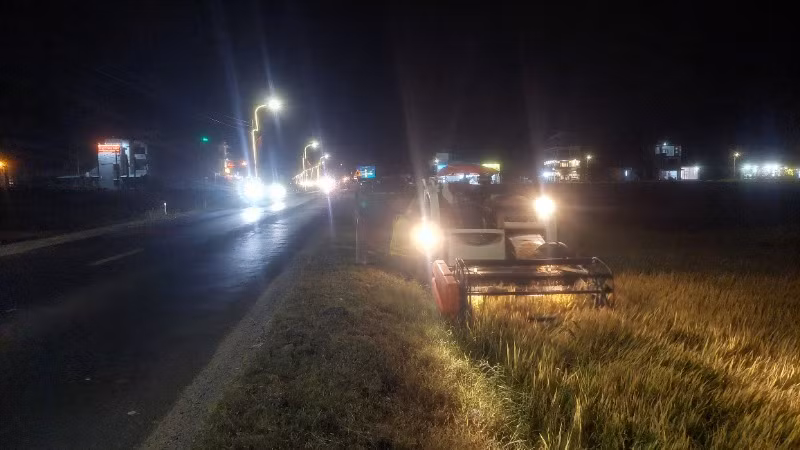 Nông dân huyện Phú Hòa, tỉnh Phú Yên phấn khởi thu hoạch lúa đông xuân vào ban đêm dọc Quốc lộ 25.