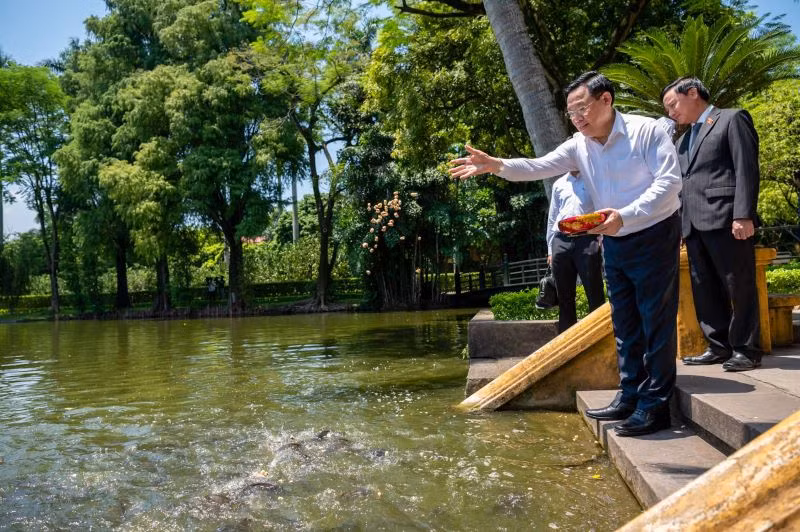 Chủ tịch Quốc hội Vương Đình Huệ cho cá ăn trong ao cá Bác Hồ.