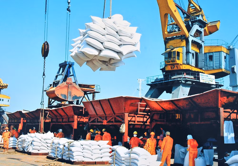 Xuất khẩu tiếp tục là điểm sáng trong bức tranh thương mại của Việt Nam 11 tháng vừa qua. Ảnh: Hải Nam