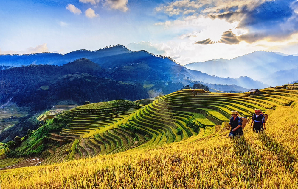 Rừng và ruộng bậc thang - nền tảng để Mù Cang Chải trở thành thiên đường du lịch Tây Bắc. Ảnh: Vũ Chiến