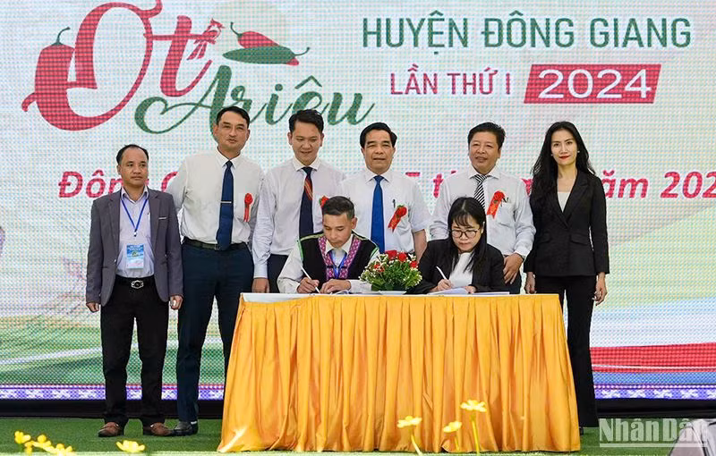 Ký kết bao tiêu sản phẩm Ớt A Riêu giữa đại diện Khu du lịch sinh thái Cổng Trời Đông Giang và Hợp tác xã Nông lâm nghiệp Mà Cooih.